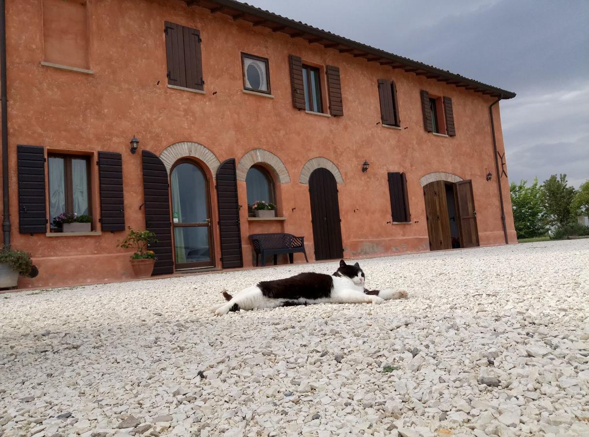 Agriturismo La Lenticchia Fratta Terme Exterior foto